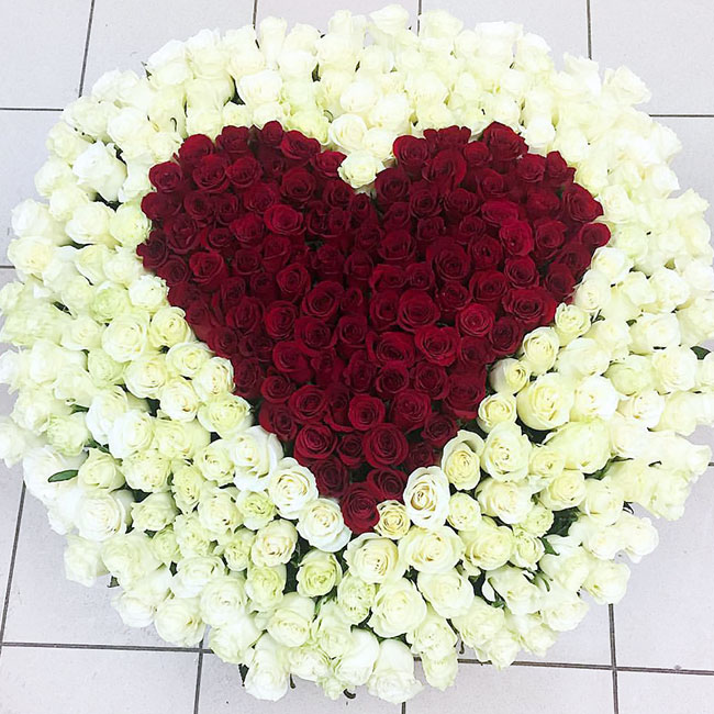 351 роза Сердце 351 роза Сердце